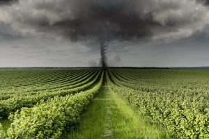 Monitoramento climático abre novas oportunidades para o agro