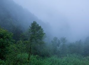 Reforço de ar frio vem com vento e queda de temperatura