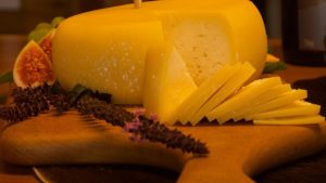 Projeto valoriza queijo colonial gaúcho e sua produção artesanal na agroindústria