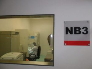 Soro fetal bovino é habilitado para exportação