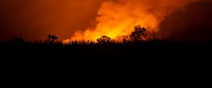 Setembro exige atenção redobrada contra incêndios no campo