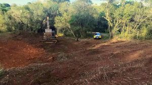 Polícia efetua flagrante de destruição em área de preservação permanente