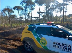 Dano ambiental em Rio Azul: Autuação e embargo de propriedade