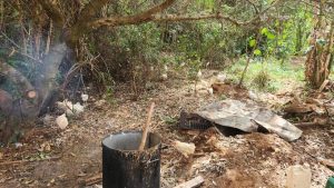 Polícia Civil desarticula abatedouro clandestino de frangos