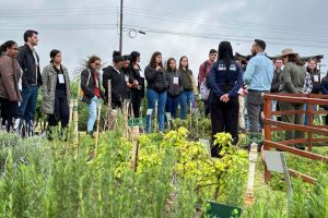 Com apoio do IDR-PR, Cascavel sedia evento sobre agroecologia