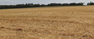 FAEP leva manejo conservacionista ao produtor rural