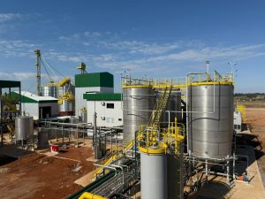 Brasil terá primeira usina de etanol de trigo