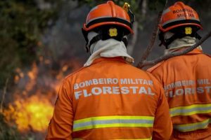 Estado registra 86 focos de incêndios ativos