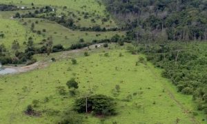 ITR 2025: prazo final é 30 de setembro, alerta Sindicato Rural