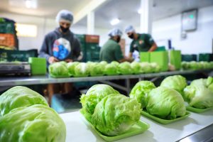 Estado amplia vantagem como maior produtor de orgânicos do País