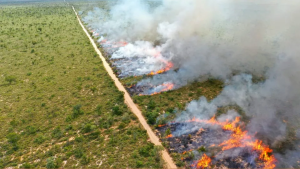 MS suspende queima controlada até novembro e amplia restrição no Pantanal até dezembro