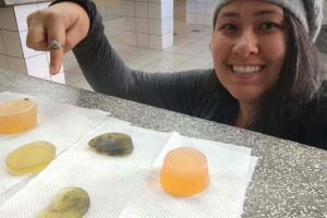 Alunos desenvolvem projeto de sabonete antipulgas a base de planta
