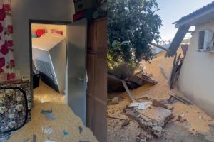 Silo desaba e milho cai sobre casa matando animais