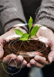 “Bioinsumos”: R$ 60 milhões para agricultura familiar