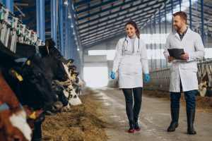 Mercado de genética bovina avança com recorde de produção de sêmen