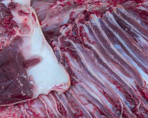 Proibição do abate de cavalos põe em xeque mercado de carne equina