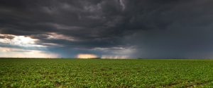 Produtor atingido por evento climático tem nova linha de crédito de R$ 12 bilhões