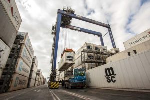 Paraná teve maior crescimento do Brasil nas exportações de carne de peru