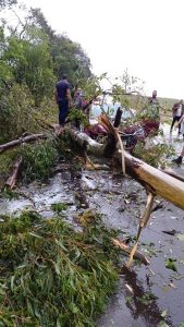 Temporal com ventos fortes e granizo causa estragos