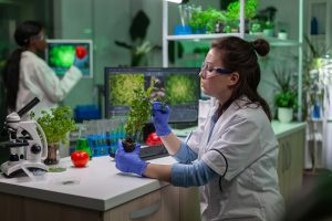 Tratado de Budapeste abre caminho para avanços em biotecnologia agrícola