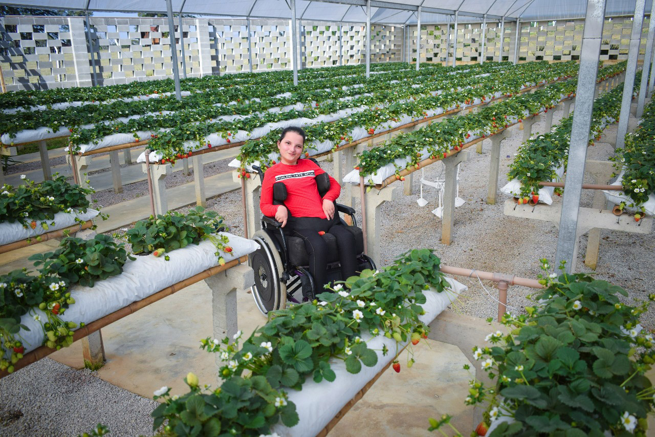 Produtores criam espaço para receber pessoas com deficiência