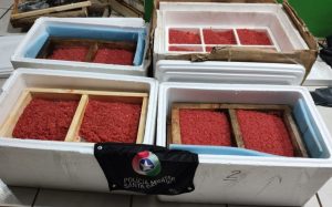 Outro patamar: PM flagra contrabando de caviar na rodovia