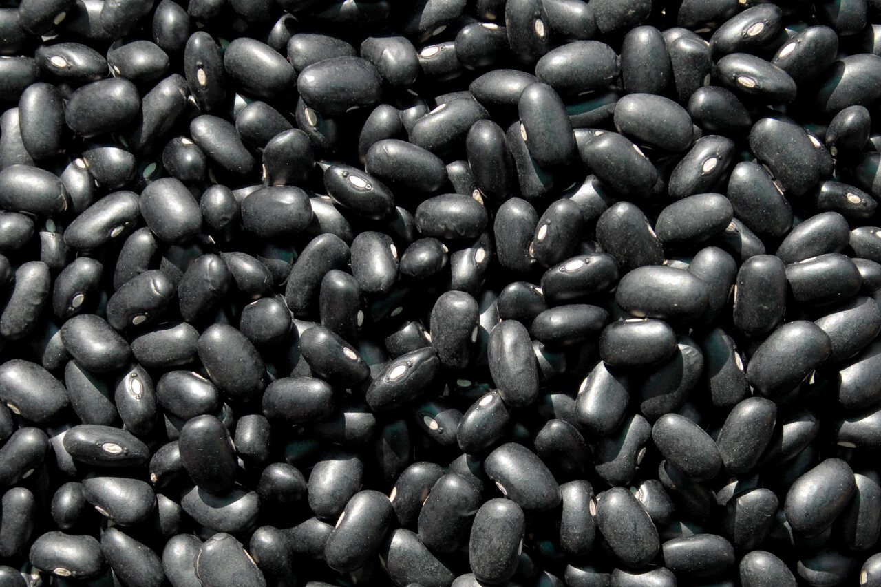 Cotações Agropecuárias: Vendas externas de frango são recordes no 1º tri