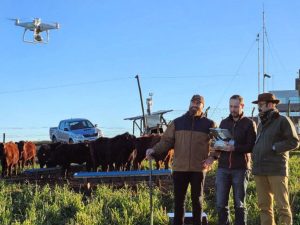 Drones são usados para manejo remoto de pastagens