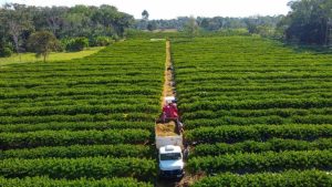 Governo isenta taxa de inscrição estadual para produtores rurais