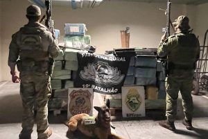 PMPR e PF apreendem mais de 1,6 tonelada de maconha em chácara