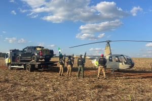 PMPR apreende quase uma tonelada de maconha em área rural