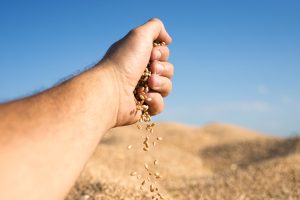 População ocupada no agronegócio no 2º trimestre é recorde
