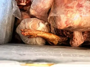 Polícia apreende quase 1 mil kg de carnes durante fiscalização em mercados