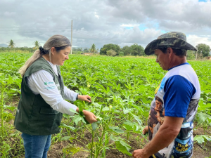 Assistência Técnica e Gerencial de Olericultura chega em Cascavel