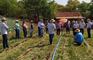Quer trabalhar no IDR-Paraná? 173 vagas estão disponíveis