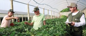 Produtor rural é determinante para o cumprimento de objetivos da ONU