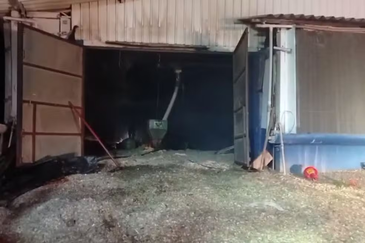 Incêndio em aviário mata cerca de 65 mil pintinhos