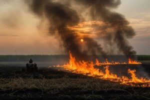 Proibição de queimadas agrícolas continua por risco extremo