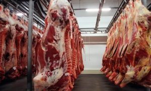 Exportações de carne bovina alcançam recorde histórico