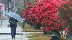 Chove todos os dias até a metade da próxima semana no Sul