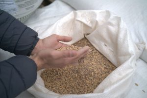 Kits Solo Saudável impulsionam produtividade e preservam a terra