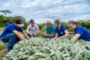 Ensino agrícola: Fortalecido com tecnologia, cursos técnicos e inovação aplicada