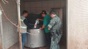 Adulteração de leite: Operação da Defesa Agropecuária cumpre mandados