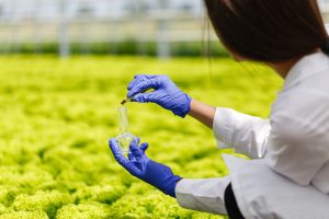 Biossoluções podem triplicar negócios no agro
