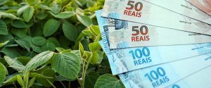 Veto à MP 1.303 garante crédito aos produtores rurais