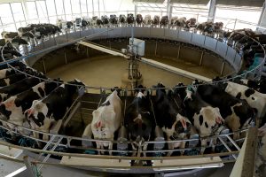 Sancionada lei que proíbe reconstituição de leite em pó importado