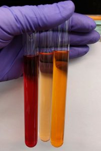 Pesquisadores identificam substância inédita para o desenvolvimento de bioinsumos
