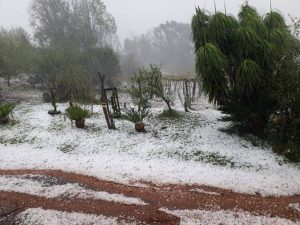 Granizo causa destelhamentos e danos em veículos