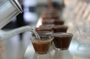 Cafés de Apucarana e Pinhalão vencem concurso estadual