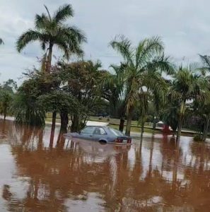 Temporal destrói lavouras e inunda propriedades; granjas ficam submersas